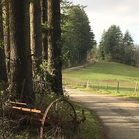 La Maison Buissonniere, Familial Classe, Entre Et Nature Prázdninový dům La Salvetat-sur-Agout