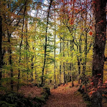 La Maison Buissonniere, Familial Classe, Entre Et Nature *